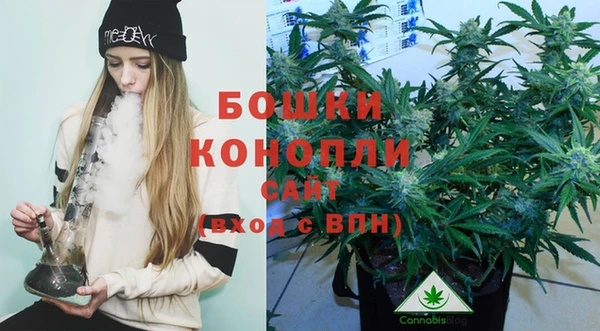 каннабис Алексеевка