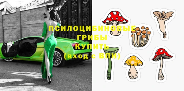 шишки Абдулино