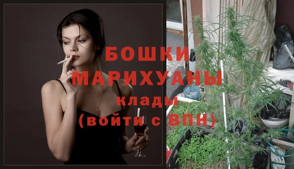 шишки Абдулино